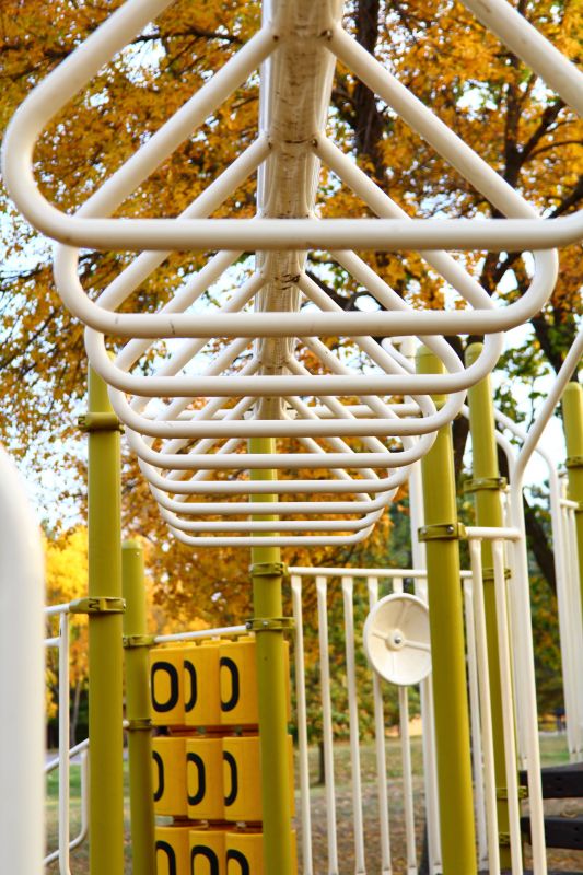 Monkey Bars Installation in Denver, CO